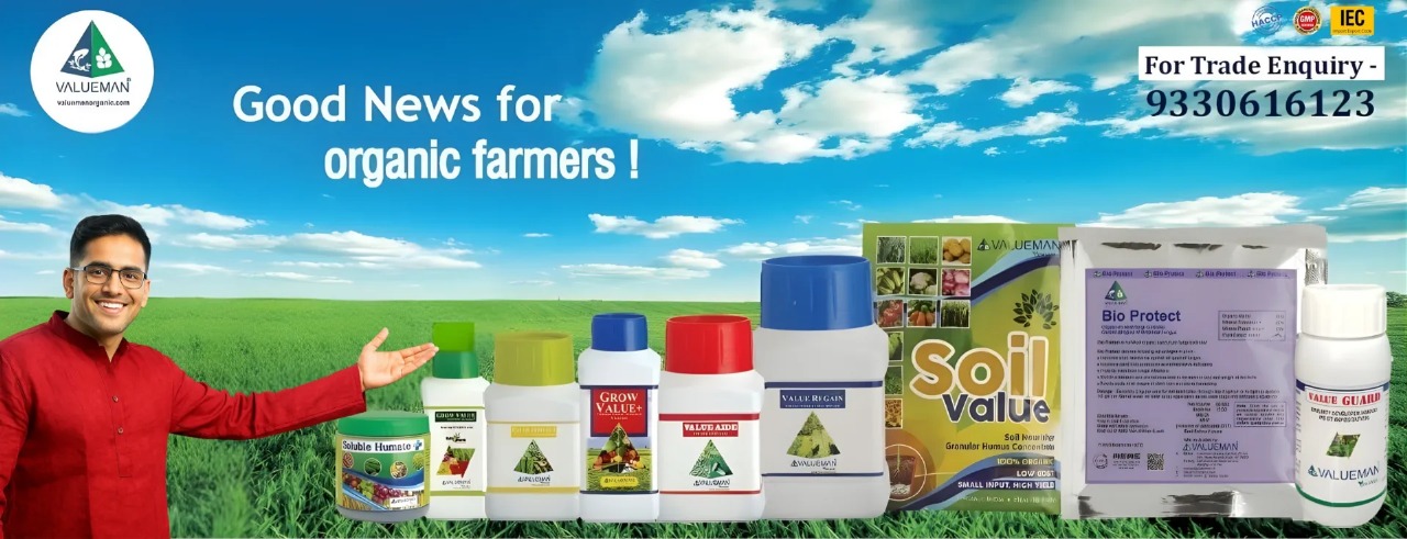 WhatsApp Image 2025-12-08 at 2.55.18 PM (1)