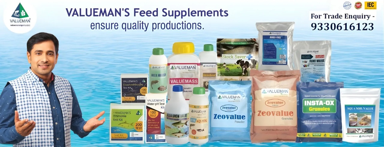 WhatsApp Image 2025-12-08 at 2.55.18 PM